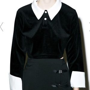 Killstar Crop Top
